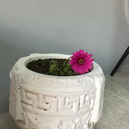 Apartment Mema's Stone *